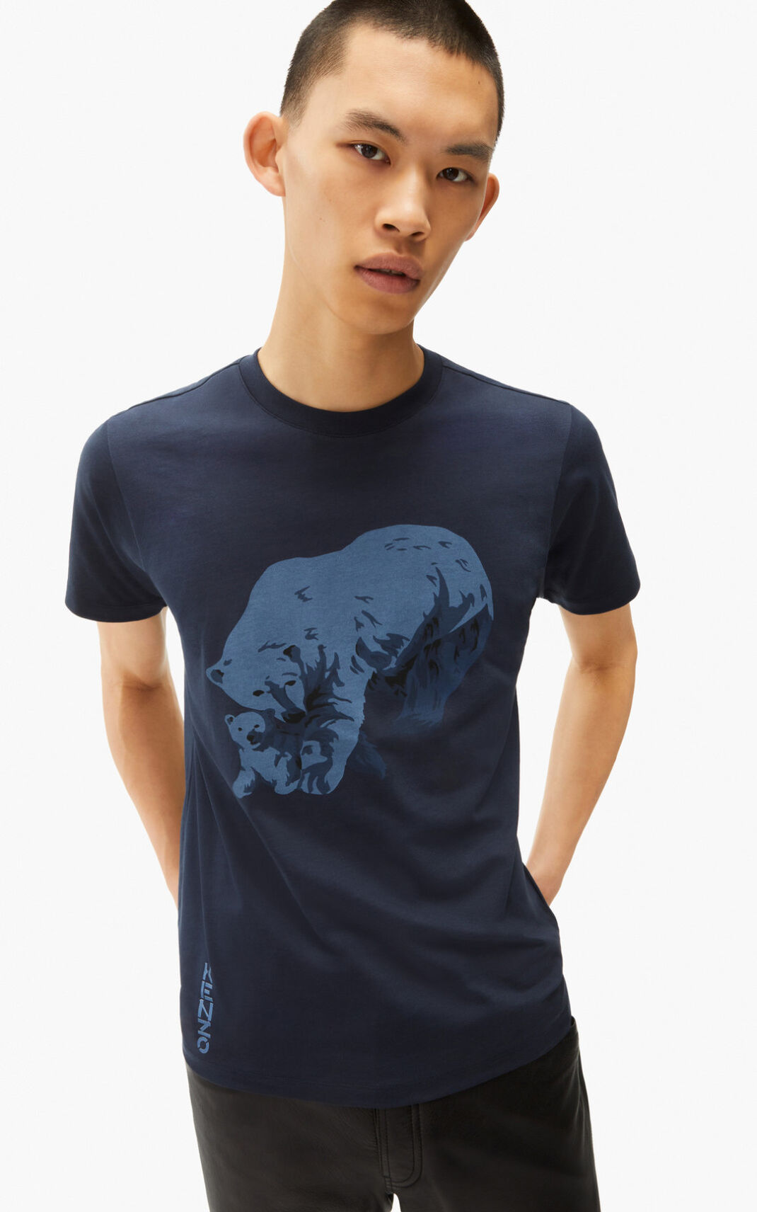 Camisetas Kenzo The Invierno Capsule Polar Bear Hombre Azules Negras CNQ253406